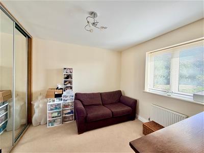 Picture 15